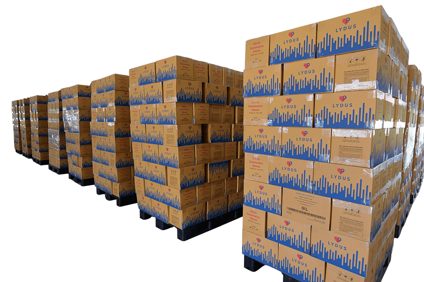 Lydus 5mil Blue Nitrile Examination Gloves (LBN5), case of 1000 (ASTM D6319, FDA 510k)