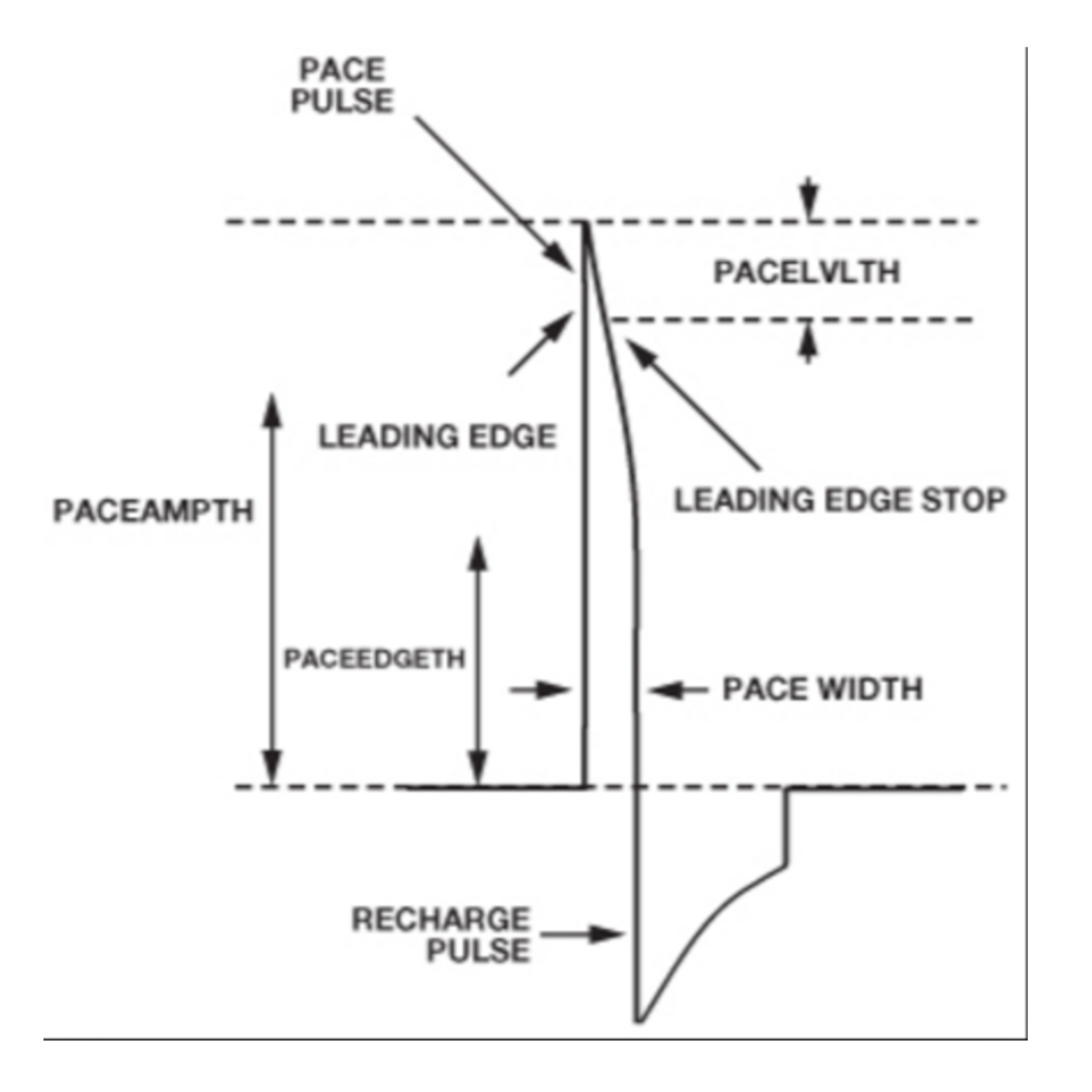 Schiller Pacemaker Measurement Software PM for AT-10 plus – Medprozone